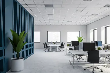 Bureaux et locaux professionnels